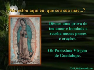 Não estou aqui eu, que sou sua mãe...? Dê-nos uma prova de teu amor e bondade e receba nossas preces e orações.  Oh Puríssima Virgem de Guadalupe.   [email_address] 