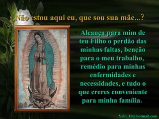Não estou aqui eu, que sou sua mãe...? Alcança para mim de teu Filho o perdão das minhas faltas, benção para o meu trabalho,  remédio para minhas enfermidades e necessidades, e tudo o que creres conveniente para minha família.  [email_address] 