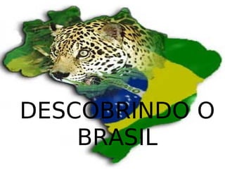 DESCOBRINDO O BRASIL 