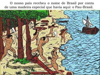 O nosso país recebeu o nome de Brasil por conta
de uma madeira especial que havia aqui: o Pau-Brasil.
 