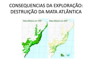 CONSEQUENCIAS DA EXPLORAÇÃO:
DESTRUIÇÃO DA MATA ATLÂNTICA
 