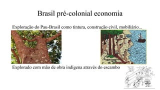 Brasil pré-colonial economia
Exploração do Pau-Brasil como tintura, construção civil, mobiliário...
Explorado com mão de obra indígena através do escambo
 
