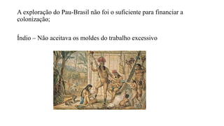 A exploração do Pau-Brasil não foi o suficiente para financiar a
colonização;
Índio – Não aceitava os moldes do trabalho excessivo
 