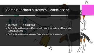 Como Funciona o Reflexo Condicionado
• Estímulo -------> Resposta
• Estímulo Indiferente + Estímulo Incondicionado --> Resposta
Incondicionada
• Estímulo Indiferente -------> Resposta Condicionada
 