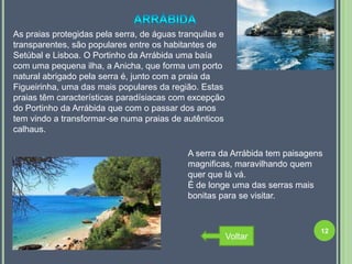 As praias protegidas pela serra, de águas tranquilas e
transparentes, são populares entre os habitantes de
Setúbal e Lisboa. O Portinho da Arrábida uma baía
com uma pequena ilha, a Anicha, que forma um porto
natural abrigado pela serra é, junto com a praia da
Figueirinha, uma das mais populares da região. Estas
praias têm características paradísiacas com excepção
do Portinho da Arrábida que com o passar dos anos
tem vindo a transformar-se numa praias de autênticos
calhaus.

                                            A serra da Arrábida tem paisagens
                                            magnificas, maravilhando quem
                                            quer que lá vá.
                                            É de longe uma das serras mais
                                            bonitas para se visitar.


                                                                            12
                                                         Voltar
 
