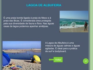 É uma praia bonita ligada á praia do Meco e á
praia das Bicas. É considerada área protegida
pela sua diversidade de fauna e flora. Nas águas
rasas da lagoa podemos apanhar amêijoas.




                                       A Lagoa de Albufeira é uma
                                       mistura de águas calmas e águas
                                       agitadas. É ideal para a prática
                                       de surf e bodyboard.


                                                   Voltar
                                                                          17
 