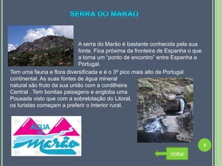 A serra do Marão é bastante conhecida pela sua
                            fonte. Fica próxima da fronteira de Espanha o que
                            a torna um “ponto de encontro” entre Espanha e
                            Portugal.
Tem uma fauna e flora diversificada e é o 3º pico mais alto de Portugal
continental. As suas fontes de água mineral
natural são fruto da sua união com a cordilheira
Central . Tem bonitas paisagens e engloba uma
Pousada visto que com a sobrelotação do Litoral,
os turistas começam a preferir o Interior rural.




                                                                                5

                                                                Voltar
 