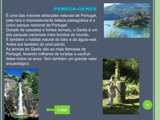 É uma das maiores atracções naturais de Portugal,
pela rara e impressionante beleza paisagística é o
único parque nacional de Portugal.
Dotado de cascatas e fontes termais, o Gerês é um
dos parques nacionais mais bonitos do mundo.
É também o habitat natural do lobo e da águia-real.
Antes era também do urso-pardo.
As termas do Gerês são as mais famosas de
Portugal, levando milhares de turistas a usufruir
delas todos os anos. Tem também um grande valor
arqueológico.




                                                      9
                            Voltar
 