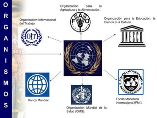 O                                Organización        para     la
                                 Agricultura y la Alimentación .

R   Organización Internacional                                     Organización para la Educación, la
    del Trabajo.                                                   Ciencia y la Cultura.
G
A
N
I
S
M
O
          Banco Mundial.                                                  Fondo Monetario
                                                                          Internacional (FMI).
S                                    Organización Mundial de la
                                     Salud (OMS).
 