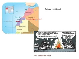 Prof. Yolanda Marco - UP
Sáhara occidental
 
