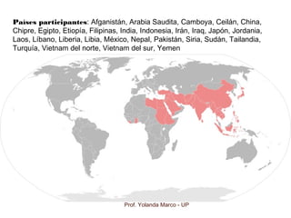 Prof. Yolanda Marco - UP
Países participantes: Afganistán, Arabia Saudita, Camboya, Ceilán, China,
Chipre, Egipto, Etiopía, Filipinas, India, Indonesia, Irán, Iraq, Japón, Jordania,
Laos, Líbano, Liberia, Libia, México, Nepal, Pakistán, Siria, Sudán, Tailandia,
Turquía, Vietnam del norte, Vietnam del sur, Yemen
 
