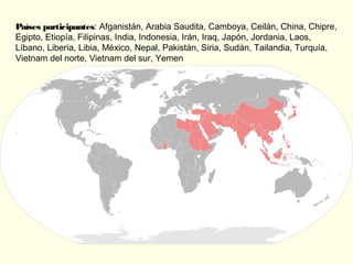 Países participantes: Afganistán, Arabia Saudita, Camboya, Ceilán, China, Chipre,
Egipto, Etiopía, Filipinas, India, Indonesia, Irán, Iraq, Japón, Jordania, Laos,
Líbano, Liberia, Libia, México, Nepal, Pakistán, Siria, Sudán, Tailandia, Turquía,
Vietnam del norte, Vietnam del sur, Yemen
 