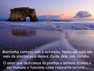Mantenha contato com a natureza; tenha em casa um vaso de plantas pelo menos. Cuide dele com carinho.  O amor que dedicamos às plantas e animais acalma o ser humano e funciona como relaxante natural... 
