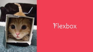 Flexbox
 