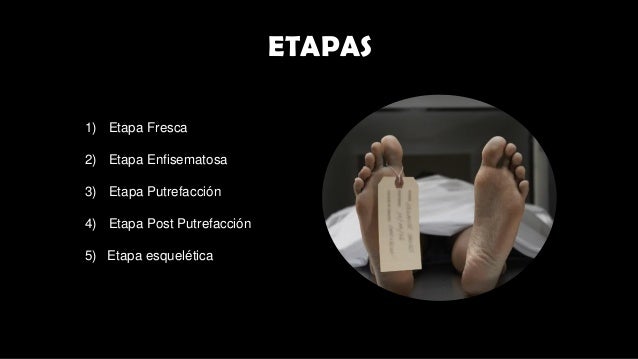 Descomposicion cadaverica