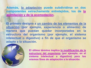 DESARROLLO INTELECTUAL