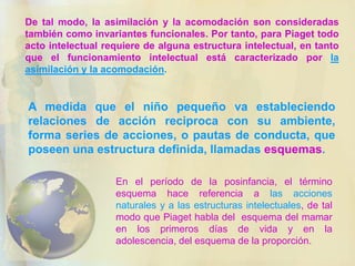 DESARROLLO INTELECTUAL