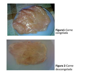 Figura1-Carne
congelada




Figura 2-Carne
descongelada
 