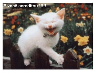 E você acreditou !!!!!  