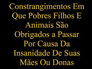 Constrangimentos Em Que Pobres Filhos E Animais São Obrigados a Passar Por Causa Da Insanidade De Suas Mães Ou Donas 