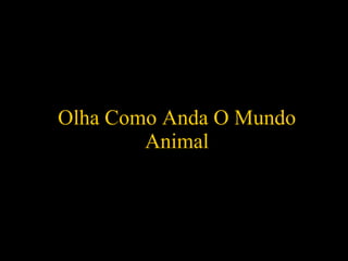 Olha Como Anda O Mundo Animal 