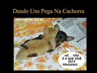 Dando Uns Pega Na Cachorra 
