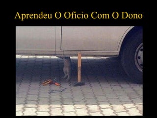 Aprendeu O Oficio Com O Dono 