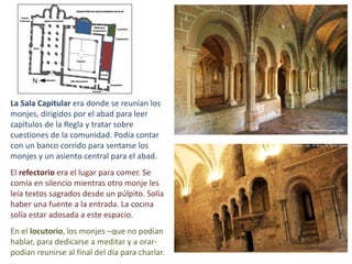 La Sala Capitular era donde se reunían los
monjes, dirigidos por el abad para leer
capítulos de la Regla y tratar sobre
cuestiones de la comunidad. Podía contar
con un banco corrido para sentarse los
monjes y un asiento central para el abad.
El refectorio era el lugar para comer. Se
comía en silencio mientras otro monje les
leía textos sagrados desde un púlpito. Solía
haber una fuente a la entrada. La cocina
solía estar adosada a este espacio.
En el locutorio, los monjes –que no podían
hablar, para dedicarse a meditar y a orar-
podían reunirse al final del día para charlar.
 