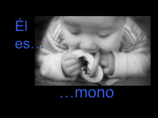 Él
es…

…mono

 