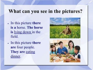 What can you see in the pictures?
● In this picture there
is a horse. The horse
is lying down in the
field.
● In this picture there
are four people.
They are eating
dinner.