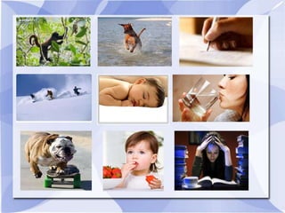 Describe picture using present continuous