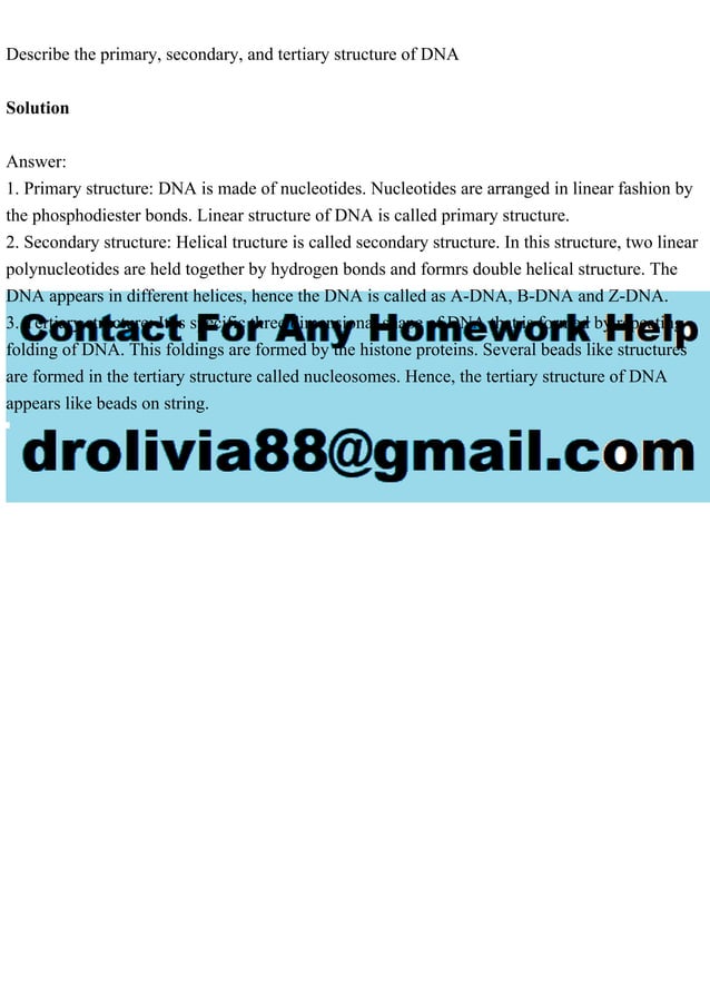 Describe the primary, secondary, and tertiary structure of DNASo.pdf