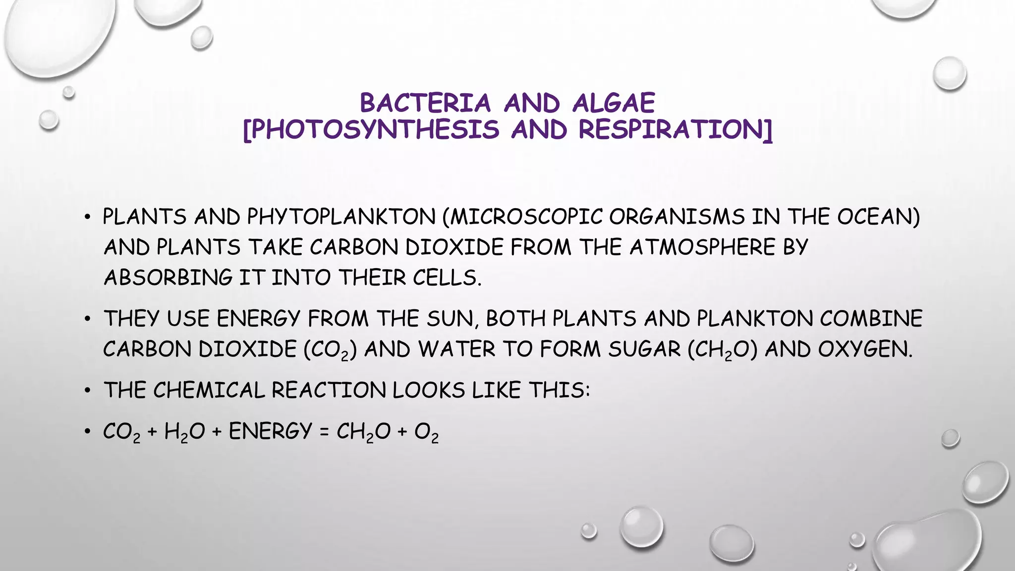 THE ROLE OF MICRO-ORGANISMS IN CARBON CYCLE | PPTX