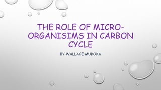 THE ROLE OF MICRO-
ORGANISIMS IN CARBON
CYCLE
BY WALLACE MUKOKA
 