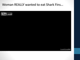 Woman REALLY wanted to eat Shark Fins…
 