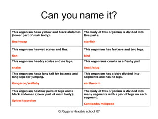Can you name it? The body of this organism is divided into many segments with a pair of legs on each segment. Centipede/millipede This organism has four pairs of legs and a black abdomen (lower part of main body). Spider/scorpion This organism has a body divided into segments and has no legs. earthworm This organism has a long tail for balance and long legs for jumping. Kangaroo/wallaby This organisms crawls on a fleshy pad Snail/slug This organism has dry scales and no legs. snake This organism has feathers and two legs. bird This organism has wet scales and fins. fish The body of this organism is divided into five parts. starfish This organism has a yellow and black abdomen (lower part of main body). Bee/wasp 