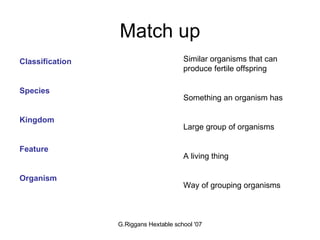 Match up Classification Species Kingdom Feature Organism Similar organisms that can produce fertile offspring Something an organism has Large group of organisms A living thing Way of grouping organisms 