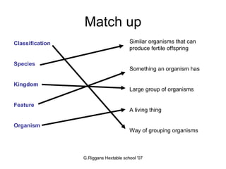 Match up Classification Species Kingdom Feature Organism Similar organisms that can produce fertile offspring Something an organism has Large group of organisms A living thing Way of grouping organisms 