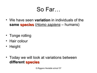 So Far… We have seen  variation  in individuals of the  same  species  ( Homo sapiens  – humans) Tonge rolling Hair colour Height Today we will look at variations between  different   species 