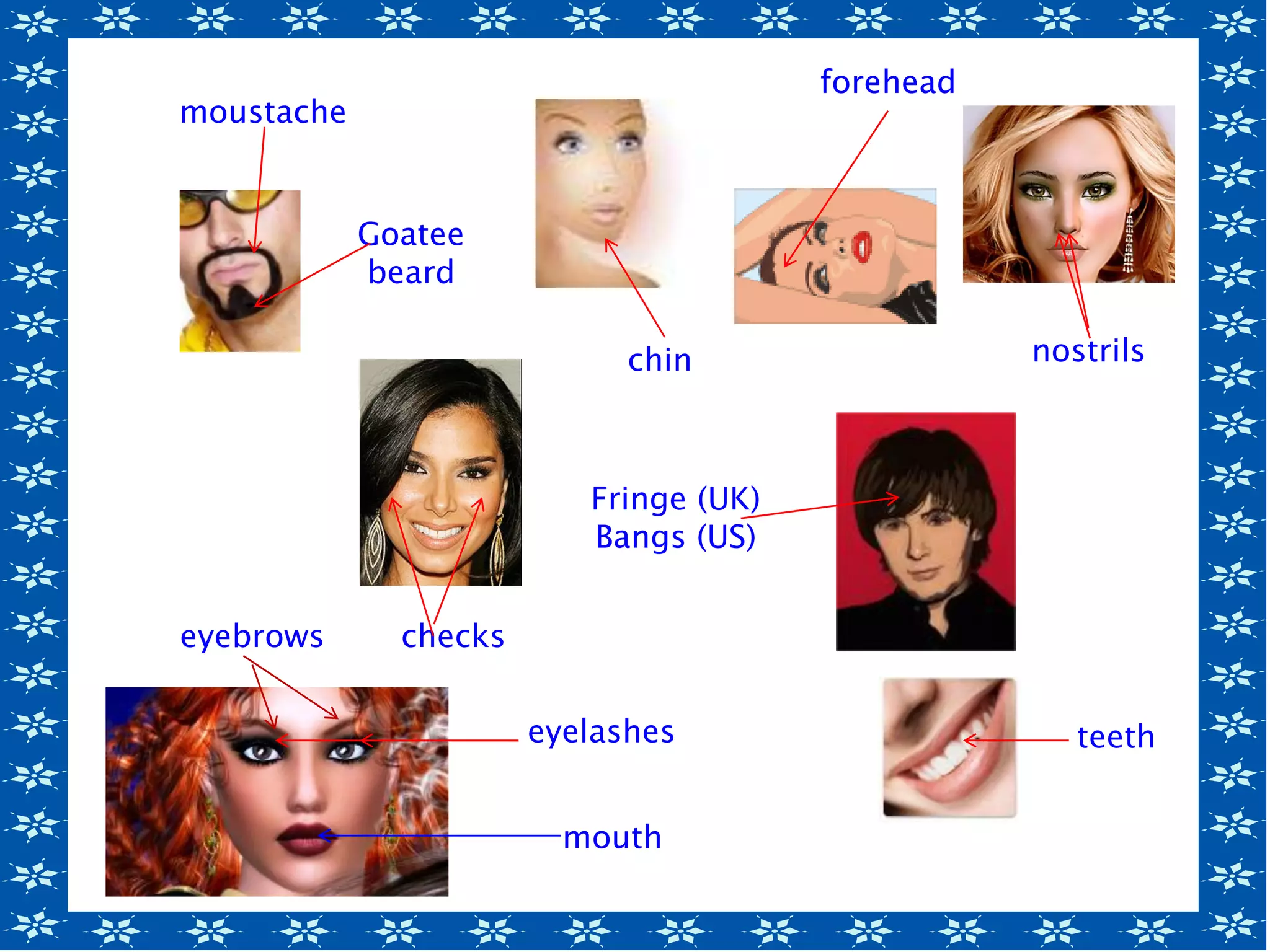 moustache
Goatee
beard
chin
forehead
nostrils
eyebrows checks
Fringe (UK)
Bangs (US)
mouth
teetheyelashes
 