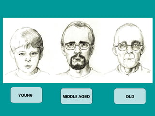 YOUNG OLD
MIDDLE AGED
 