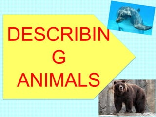 DESCRIBIN
G
ANIMALS
 