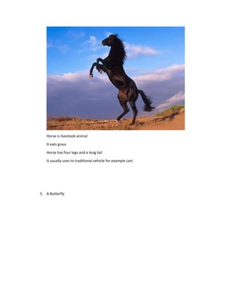 Horse is livestook animal
It eats grass
Horse has four legs and a long tail
It usually uses to traditional vehicle for example cart.
5. A Butterfly
 