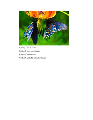 Butterfly is can fly animal
A butterfly has a very nice wing
A butterfly feeds a honey
A Butterfly useful for pollination flower
 