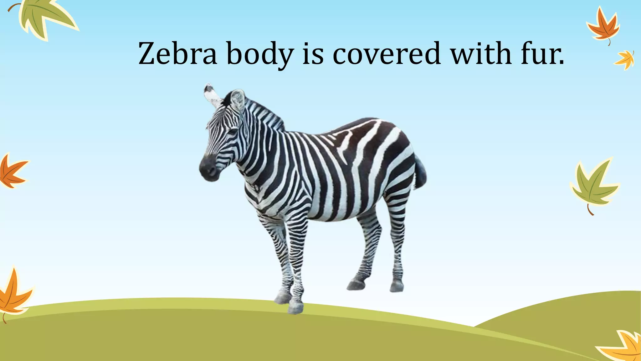 Describing Animal โ Science Project Example.pdf