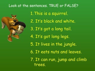 Look at the sentences. TRUE or FALSE? This is a squirrel. It’s black and white. It’s got a long tail. It’s got long legs. It lives in the jungle. It eats nuts and leaves. It can run, jump and climb trees. 