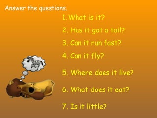 Answer the questions. What is it? Has it got a tail? Can it run fast? Can it fly? Where does it live? 6. What does it eat? 7. Is it little? 