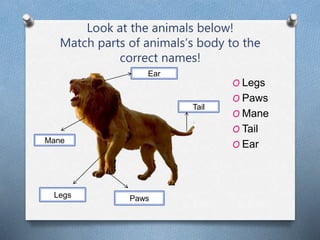 Describing Text for VII Graders : Animal | PPT