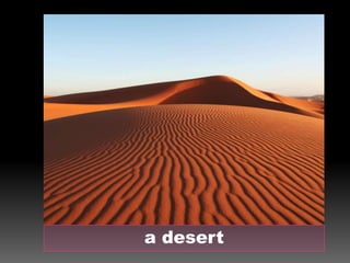 Desert Description Describing landscapes- Elementary Vocabulary Practice | PPTX