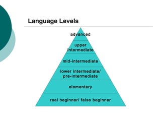 Describing learners motivation | PPT